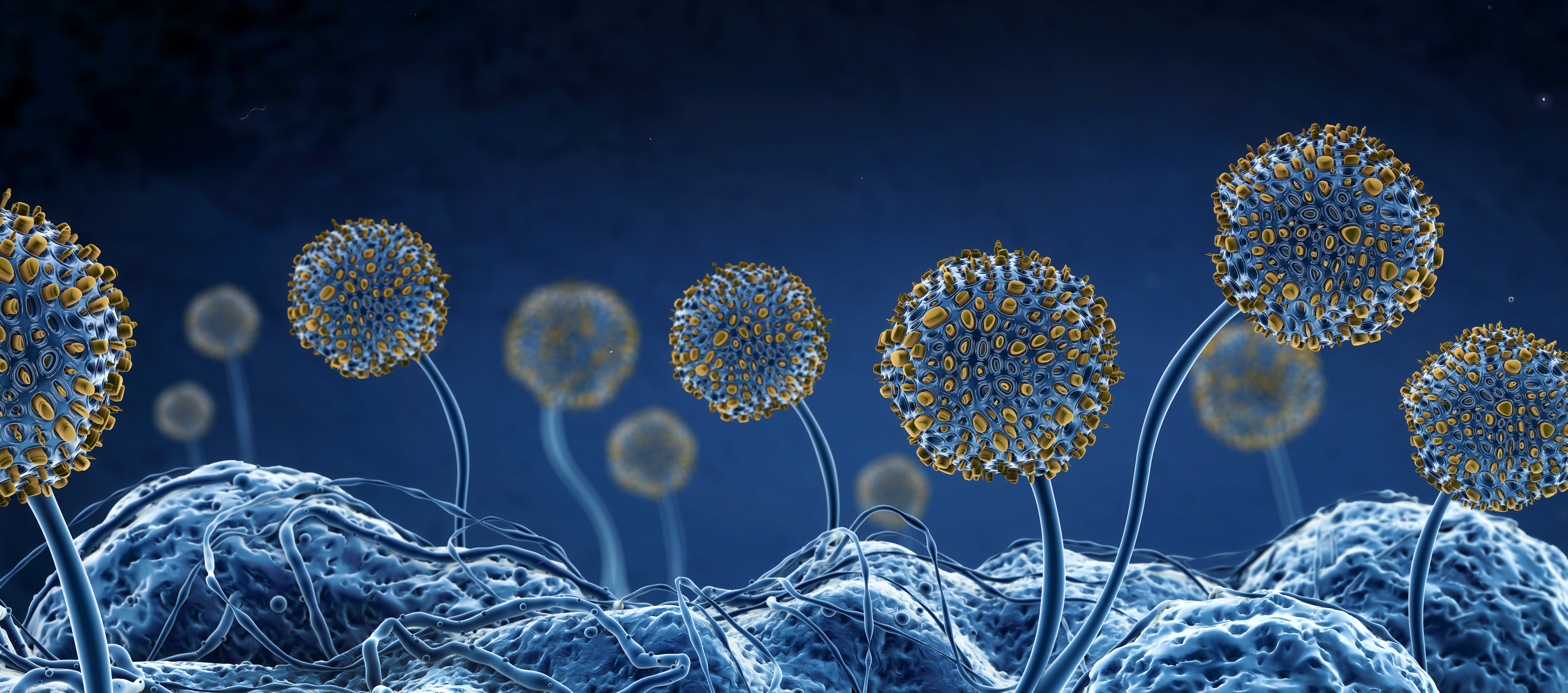 Microbiological testing — testxchange