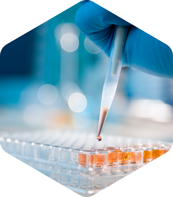 Chemical test with a pipette and liquid