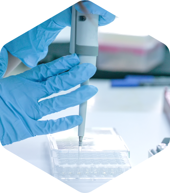Testing of medicines in a pharmaceutical laboratory